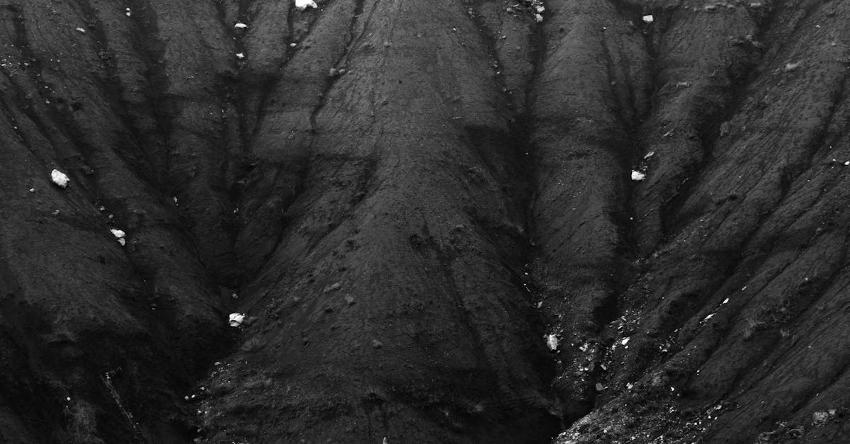 Cilat toka dominojnë veriun dhe jugun e Luginës së Ronës, dhe pse kjo bën gjithë ndryshimin? Nëse e ndajmë mendërisht luginën në dy pjesë, shpejt vërejmë një ndryshim të qartë midis veriut dhe jugut. Secila prej tyre shfaq karakteristikat e veta unike, të diktuara nga klima, terreni dhe gjeologjia e saj. Ky diversitet është një nga arsyet kryesore pse Lugina e Ronës është një fushë lojërash kaq e jashtëzakonshme për prodhuesit e verës.