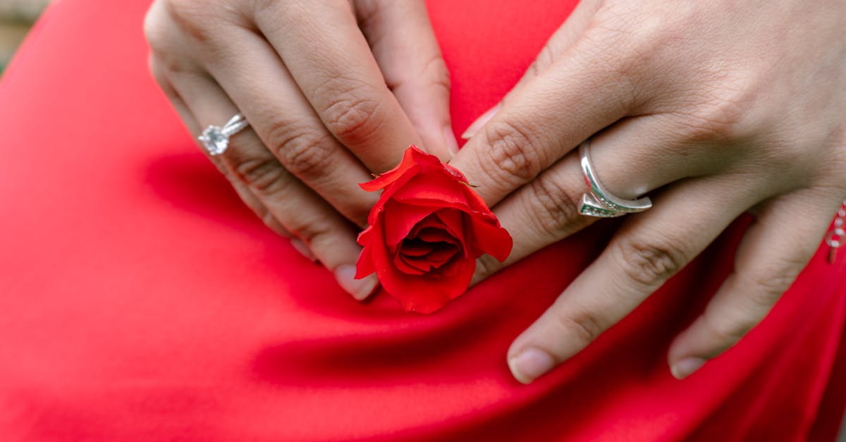 découvrez l'univers du rosé, un vin délicat et rafraîchissant, parfait pour vos apéritifs estivaux. explorez nos conseils de dégustation, les meilleures associations mets-vins, et les tendances de la saison. laissez-vous séduire par sa palette de saveurs et son élégance.