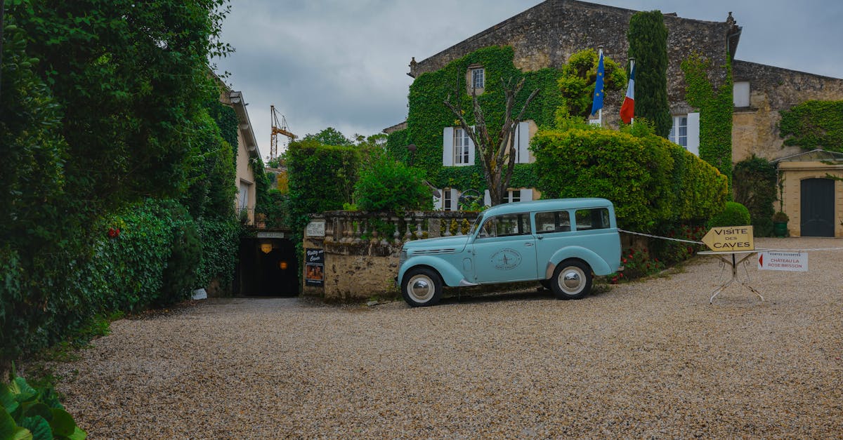 découvrez saint-émilion, un charmant village viticole classé au patrimoine mondial de l'unesco, célèbre pour ses vignobles, ses caves historiques et son ambiance médiévale. partez à la rencontre des grands crus et savourez la beauté des paysages bordelais.