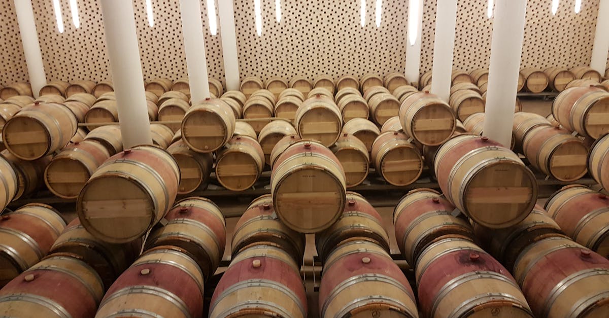 Discover Saint-Émilion, a magnificent wine-growing village listed as a UNESCO World Heritage Site, renowned for its vineyard terraces, its fine wines, and its rich historical heritage. Stroll through its picturesque streets, visit its châteaux, and taste world-renowned wines in this enchanting place.