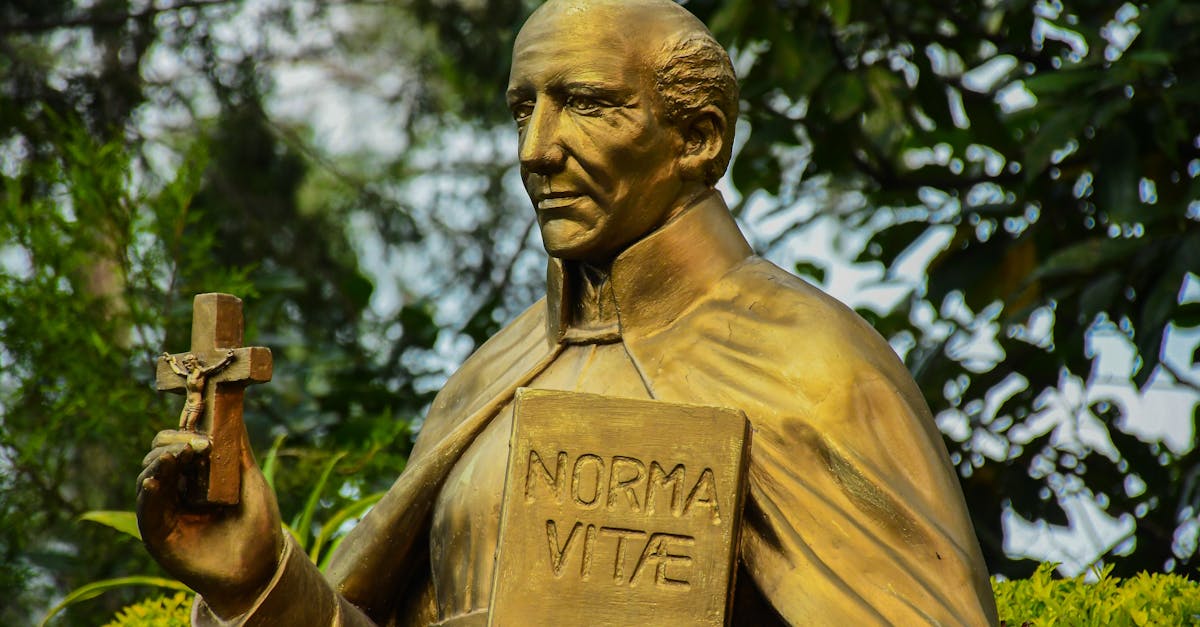 🍇 The ideal storage temperature is between 12°C and 16°C, to preserve tannins and aromas.