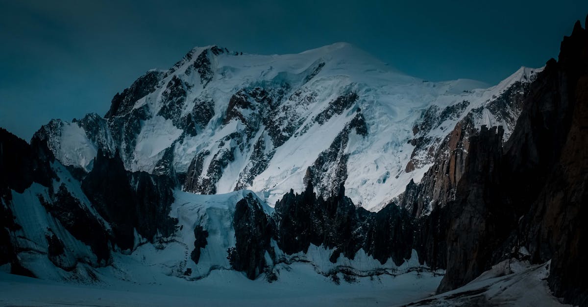 A yw Gamay yn amrywiaeth rawnwin addas ar gyfer gwinoedd coch Savoy?