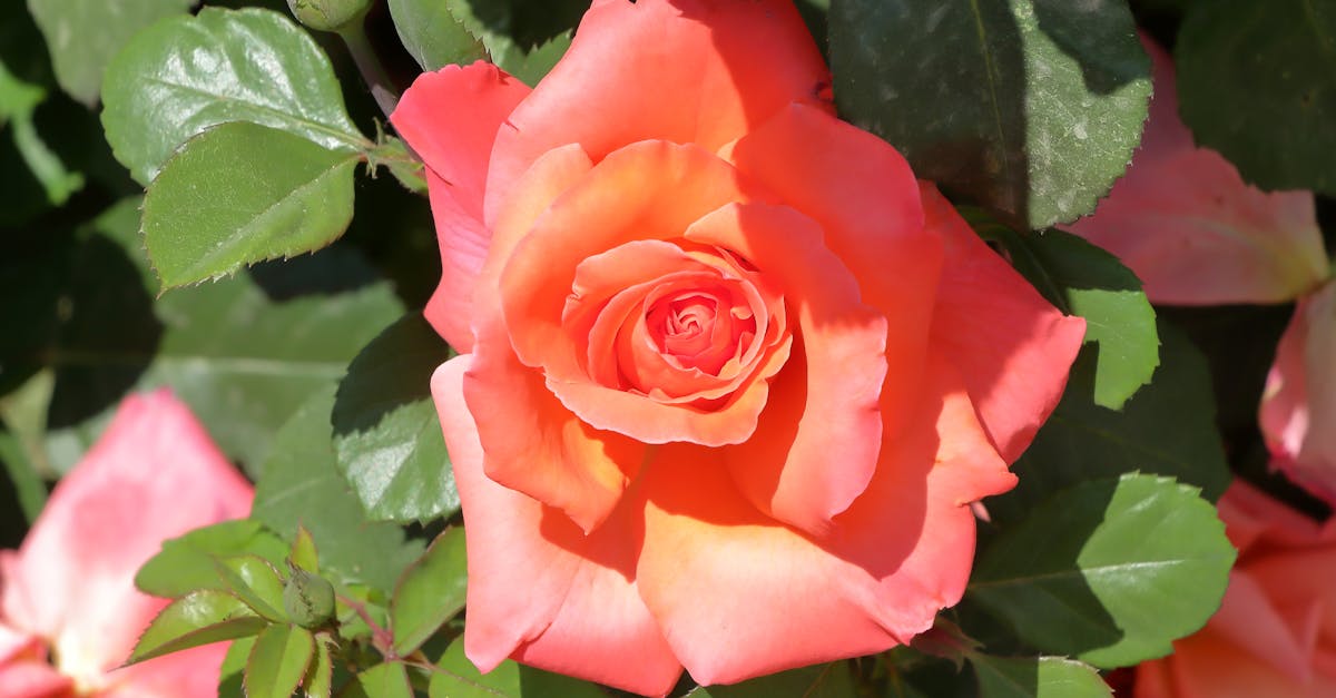 风土就像葡萄酒的秘密签名。在