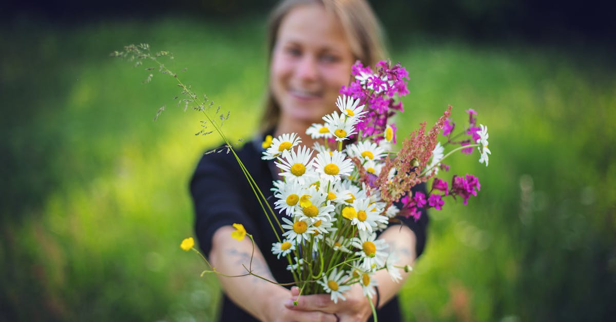 découvrez la savoie, un territoire montagneux riche en paysages époustouflants, en traditions culturellement envoûtantes et en activités de plein air. explorez ses stations de ski renommées, ses lacs scintillants et sa gastronomie savoureuse. plongez dans l'authenticité de cette région française.