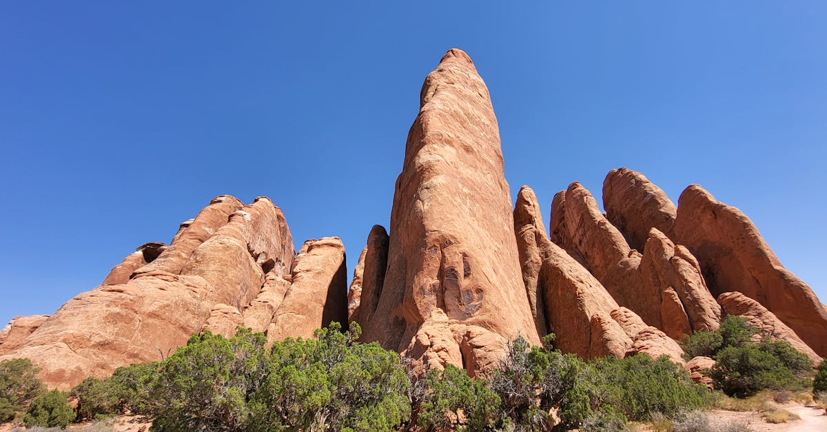 découvrez l'univers fascinant des vins du sud-ouest de la france. explorez des cépages uniques et des terroirs riches qui font la renommée de cette région viticole, alliant tradition et innovation pour un goût inoubliable.