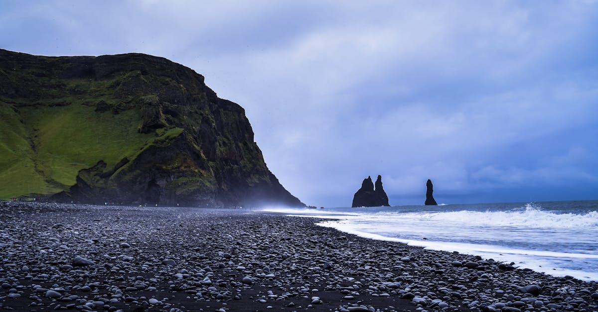 Kini nga mga bino naglangkob sa usa ka sensory nga panaw, diin ang matag yugto sa pagtilaw nagpadayag sa usa ka bag-ong bahin. Ang mga mahigugmaon sa bino nahingangha sa grabe nga humot nga bouquet, nga gimarkahan sa mga nota sa itom nga prutas, tsokolate, banilya, ug halang nga mga paghikap, nga sagad giubanan sa usa ka presko nga makapukaw sa lami. Ang panag-uyon tali sa kabuhong ug kagaan nagtugot niini nga mga bino nga matagamtaman kauban sa pino nga Chilean nga linutoan—keso, ceviche, empanadas—o natagamtaman sa ilang kaugalingon, aron makatilaw sa ilang giladmon.