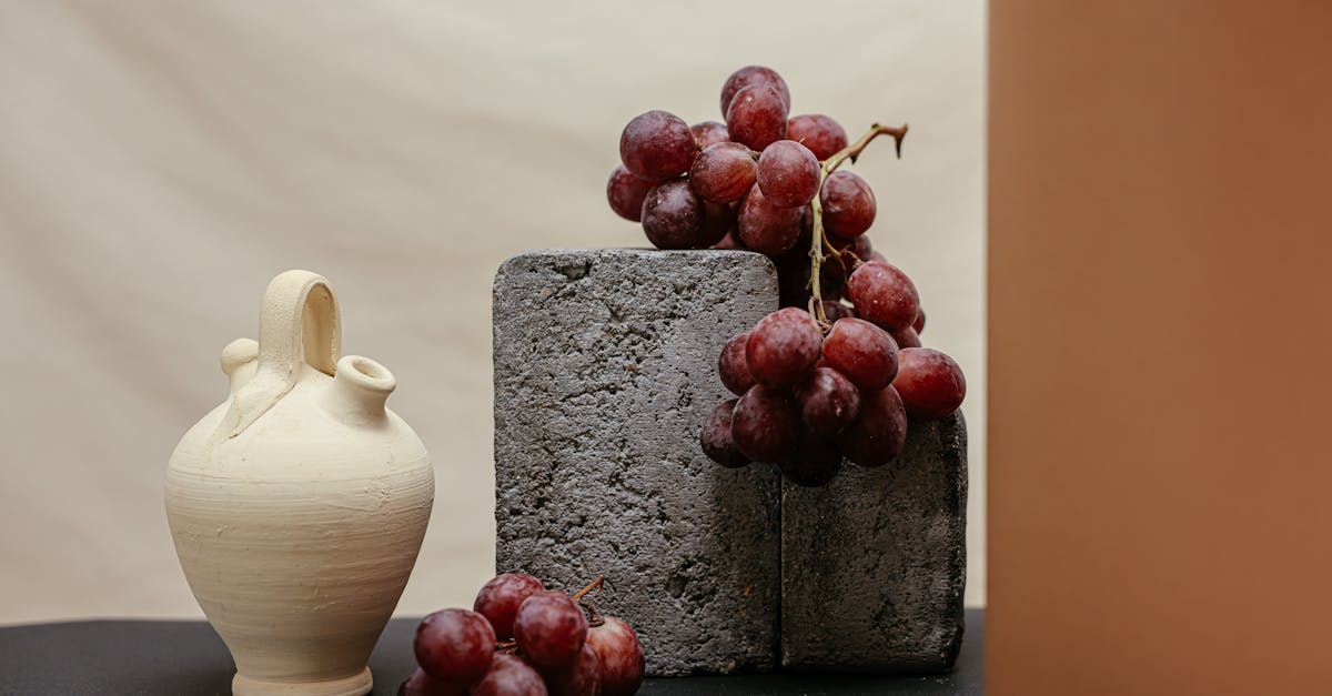 découvrez l'art de la vinification, un processus fascinant qui transforme le raisin en vin. apprenez les techniques essentielles, les étapes clés et l'influence des terroirs sur le goût final. plongez dans l'univers des saveurs où la tradition rencontre l'innovation.