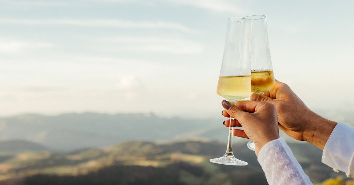 découvrez les événements autour du vin, où passionnés et novices se réunissent pour déguster, apprendre et célébrer les richesses viticoles. participez à des festivals, des ateliers et des visites de vignobles pour une expérience inoubliable.