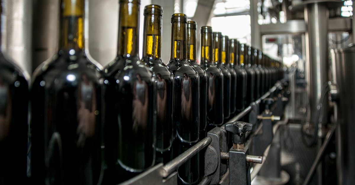 découvrez les dernières innovations de l'industrie viticole qui transforment la production, la distribution et la consommation du vin. explorez les technologies de pointe, les pratiques durables et les tendances émergentes qui redéfinissent l'univers du vin.