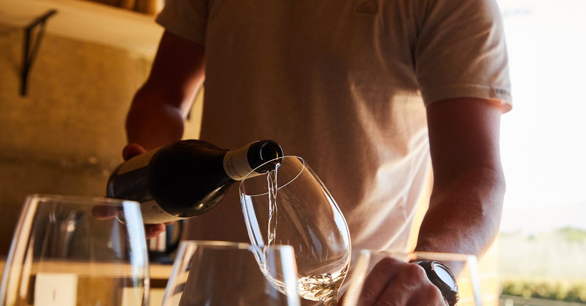 : a classic for a serious introduction to Syrah and the wines of the northern Rhône valley. In addition to tastings, you can take courses to demystify wine.