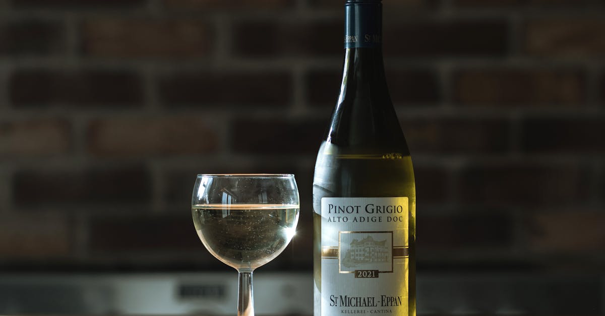 Descubra o fascinante mundo da vinificação, da vinificação à mistura. Explore as técnicas, os terroirs e os segredos que produzem vinhos excepcionais, enquanto se aprofunda na arte de criar experiências vínicas únicas.