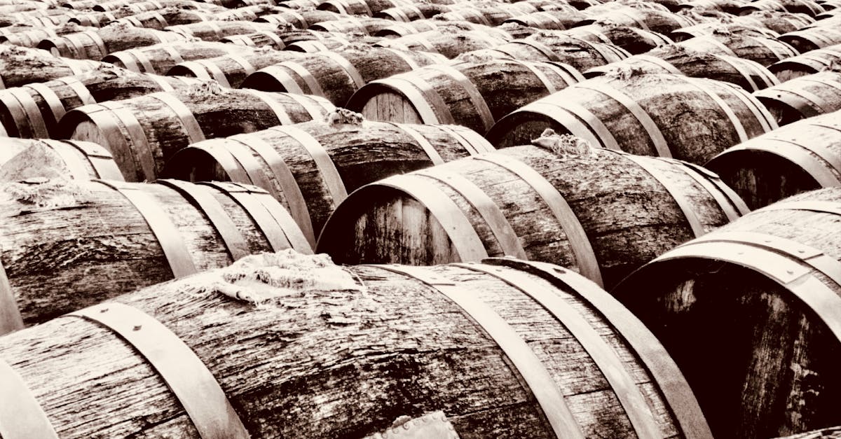 Descubra o fascinante mundo dos produtores de vinho, artesãos apaixonados que combinam tradição e inovação para criar vinhos excepcionais. Explore sua expertise e técnicas de vinificação e mergulhe nos terroirs que dão origem a safras únicas.