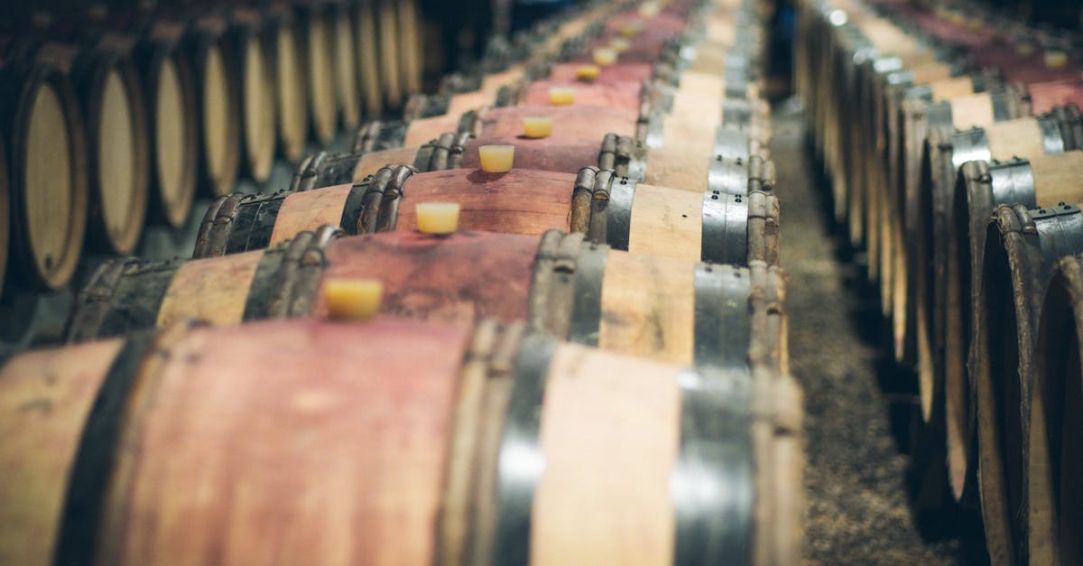 Üzerine pompalama, rafa kaldırma ve geri döndürme: Şırayı homojenleştirme ve fenolik bileşikleri daha iyi çıkarma teknikleri.