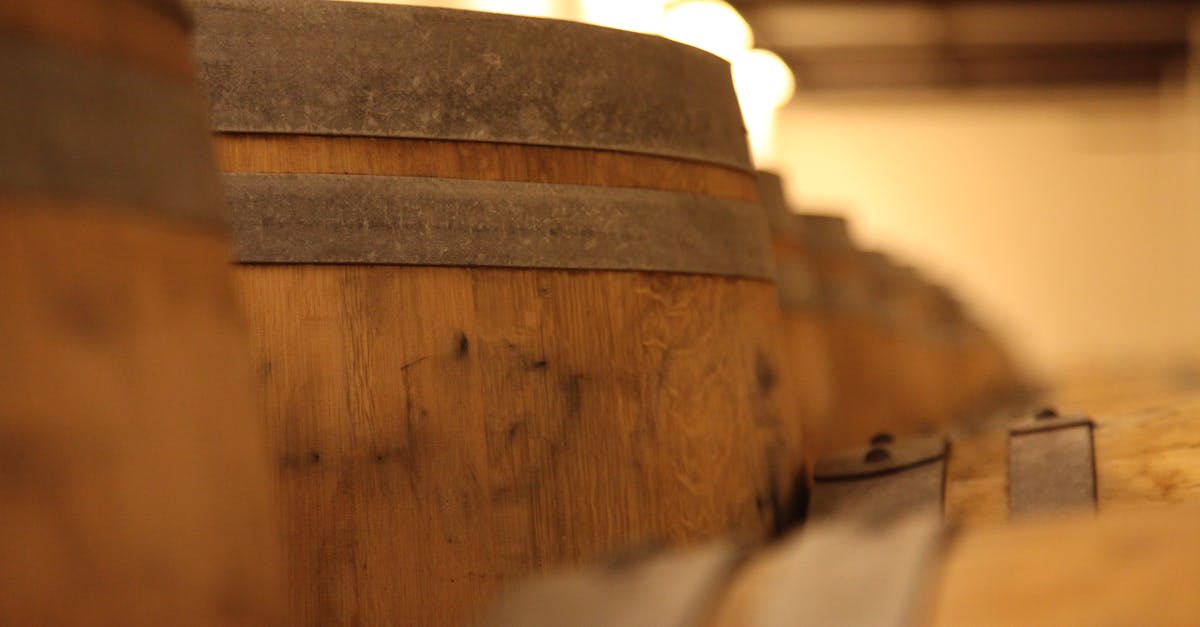 découvrez l'univers fascinant des vignobles lors de notre visite guidée des caves. explorez les paysages pittoresques, apprenez les secrets de la vinification et savourez une sélection de vins exquis. une expérience inoubliable pour les amateurs de vin et de nature.