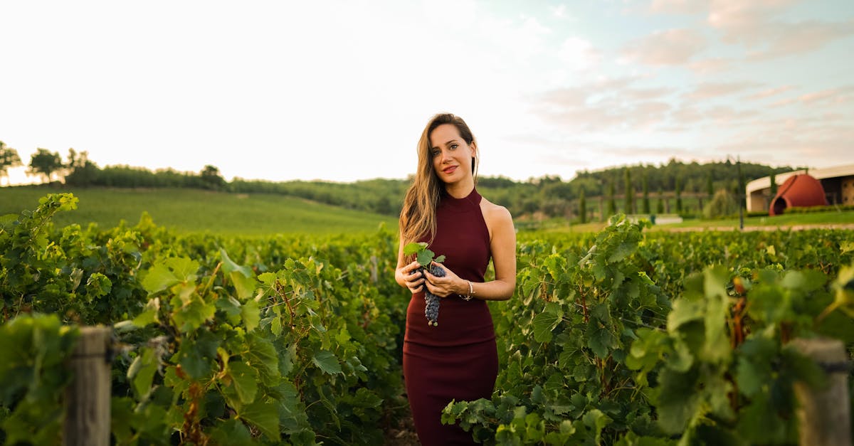 Discover the fascinating world of women winemakers, pioneers, and creators who are redefining the art of winemaking. Explore their inspiring stories and their exceptional wines that combine tradition and innovation. Name