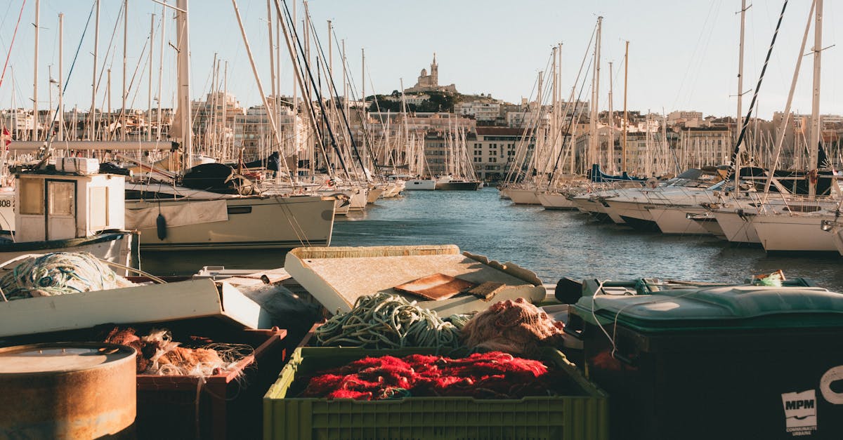 découvrez les côtes de gascogne : un vignoble du sud-ouest de la france réputé pour ses vins blancs frais et aromatiques. profitez de saveurs uniques issues d’un terroir d’exception.