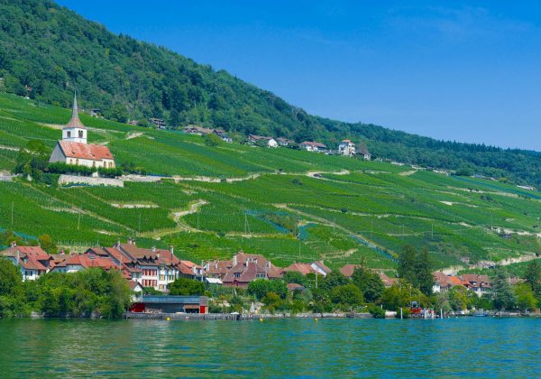Vin de Paille Jura : Guide d'Achat Complet et Investissement