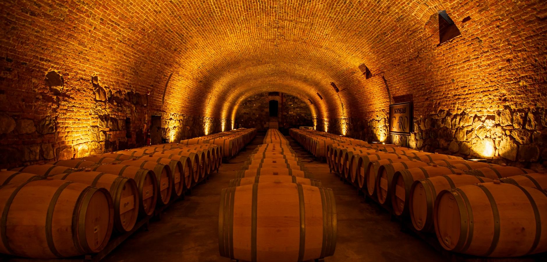Vin Jaune vs Vin de Paille : Différences, Processus et Guide d'Achat