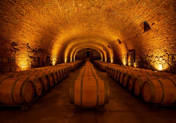 Vin Jaune vs Vin de Paille : Différences, Processus et Guide d'Achat