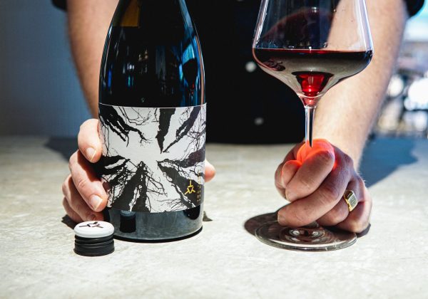 Vin Maury Rouge : Guide Complet du Meilleur Maury Sec 2024