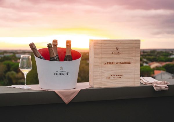 Vin blanc doux et fruité : guide complet des meilleurs cépages et sélections